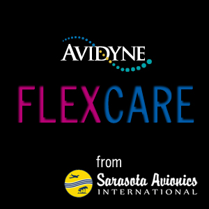 Flexcare (Release 9, 1 Year) image