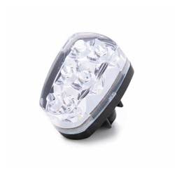 Picture of Mooney LED Recognition Light