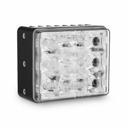 Show details for Parmetheus Prodigy Picture of Parmetheus Prodigy