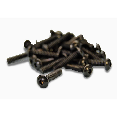 Picture of Skyview Screws, Picture 1