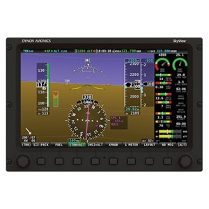 Picture of Skyview SE D900 10"